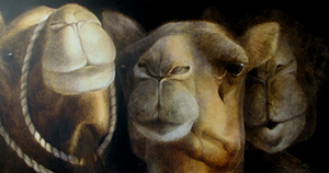 Photo grand format du tableau 'Camels'