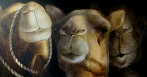 animaux