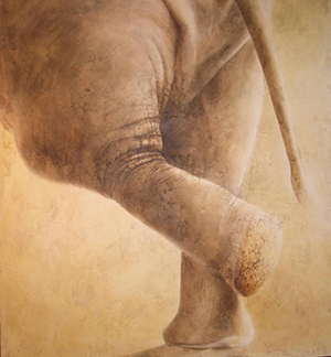 Photo grand format du tableau 'Cul d'éléphant