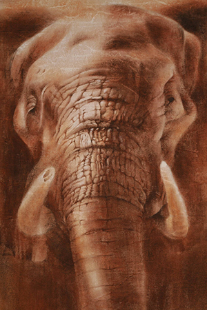 Photo grand format du tableau 'L'éléphant''