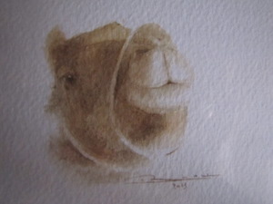 Photo grand format du tableau 'Camel'