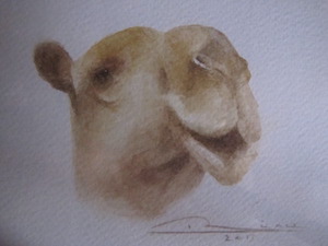 Photo grand format du tableau 'Camel'