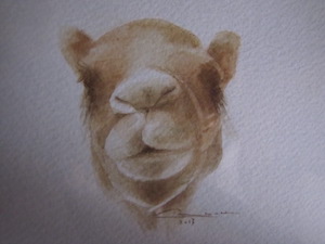 Photo grand format du tableau 'Camel'
