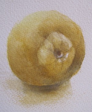 Photo grand format du tableau 'Citron'