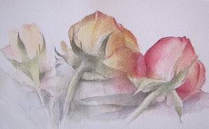 Photo grand format du tableau 'Roses'